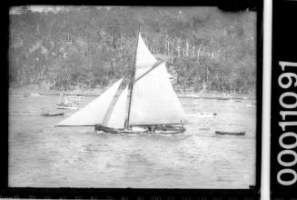 Gaff rigged Cutter sailing near shoreline, Pittwater