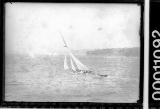 Gaff rigged cutter sailing on Pittwater