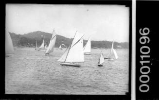 Yachts at Pittwater Regatta