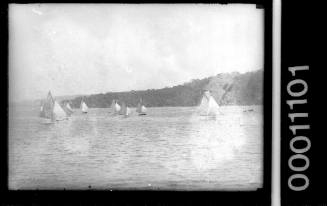 Yachts at Pittwater Regatta