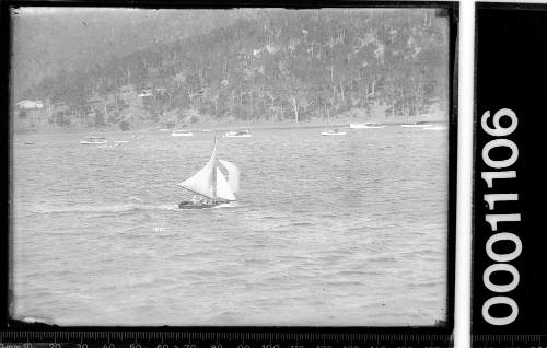 Small dinghy sailing near the shoreline on Pittwater