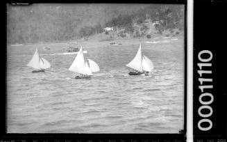 Cadet class dinghies racing on Pittwater