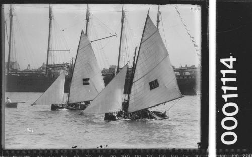 Two 16-foot skiffs racing on Sydney Harbour