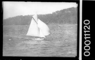 SASC yacht CAPRICE (A30) on Pittwater