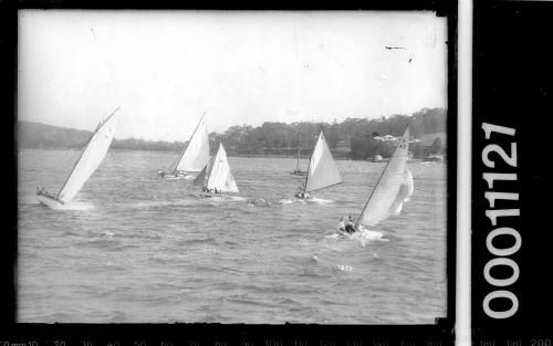 Yachts racing at Pittwater Regatta