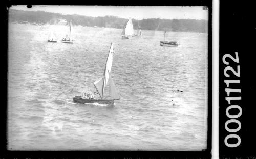 Cadet dingy sailing on Pittwater