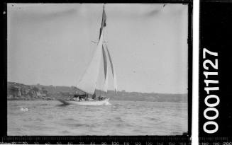 Yacht at Sydney Heads, Sydney Harbour