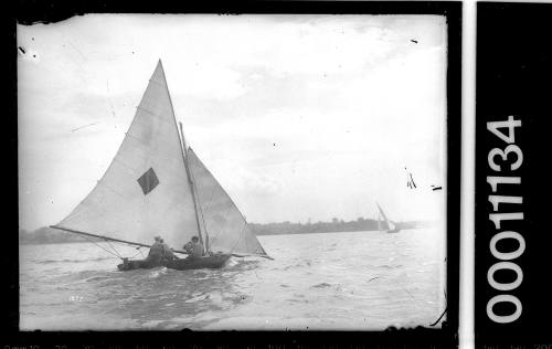 16-foot skiff sailing on Sydney Harbour