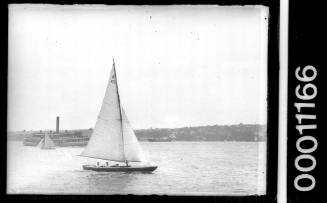 SASC yacht A42, possibly BELLBIRD, Sydney Harbour