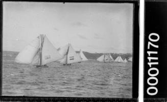 18-footer fleet racing on Sydney Harbour