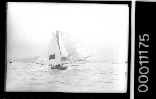 18-footer AVALON sailing on Sydney Harbour