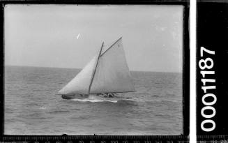 Gaff sloop under sail on Sydney Harbour