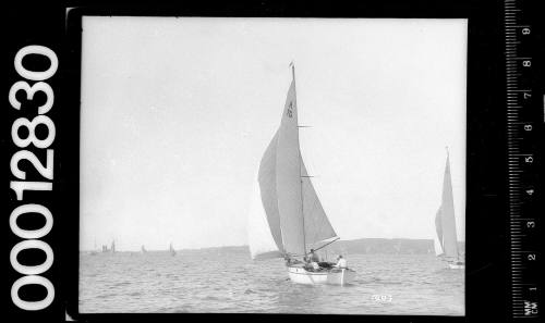 Amateur class yacht, A76, sailing on Sydney Harbour