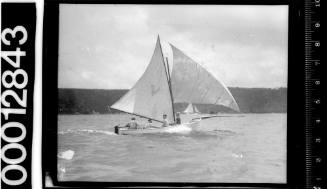 White painted 16-foot skiff with the letter 'V' displayed on the mainsail, Sydney Harbour