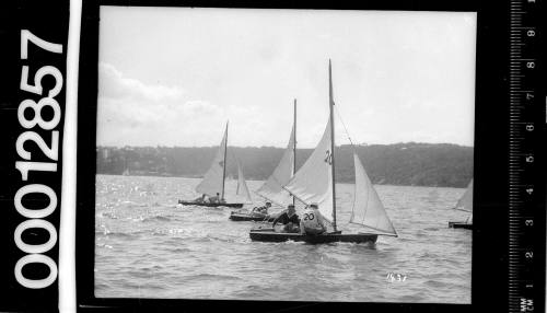 The start of a 6-foot skiff race, Sydney Harbour