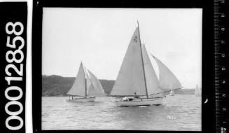 Amateur class yacht, A76, sailing on Sydney Harbour