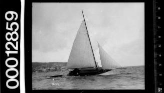 Starboard view of a yacht under sail, Sydney Harbour