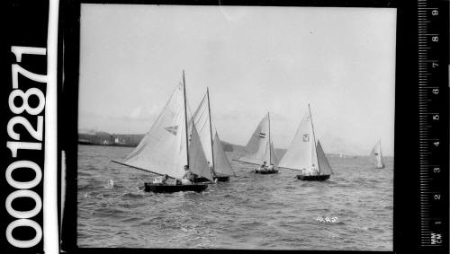 6-foot skiffs under sail on Sydney Harbour