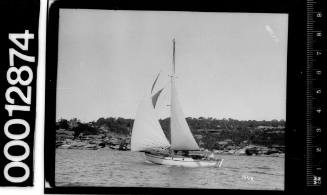 Port view of a white-hulled yacht under sail on Sydney Harbour