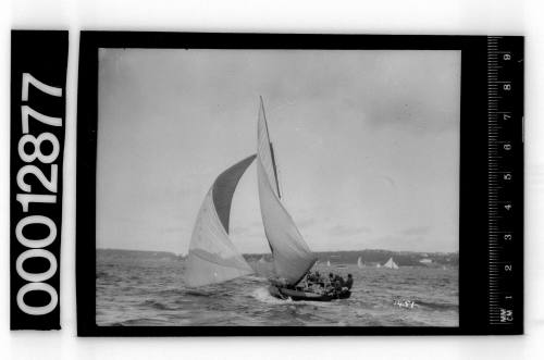 Port and stern view of a single masted yacht under sail, Sydney Harbour