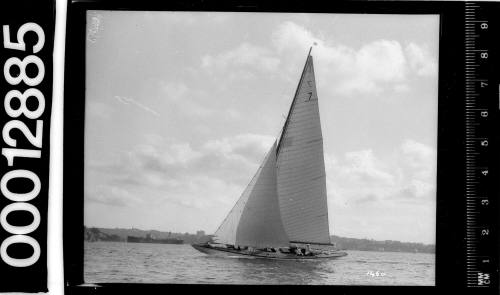 Sailing vessel with the number '7' displayed on the mainsail, Sydney Harbour