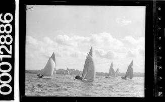 Row of yachts under sail on Sydney Harbour