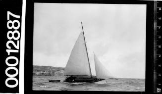 Starboard view of a single masted yacht under sail and towing a small dinghy, Sydney Harbour