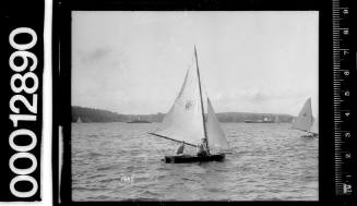 Small single masted yacht under sail, Sydney Harbour