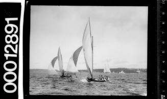 Sloops under sail on Sydney Harbour