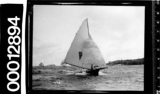 Single masted yacht with a cone shaped emblem on the mainsail sailing near shoreline, (possibly Dobroyd Point) Sydney Harbour