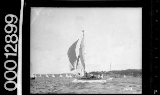 Yachts under sail near shoreline, Sydney Harbour