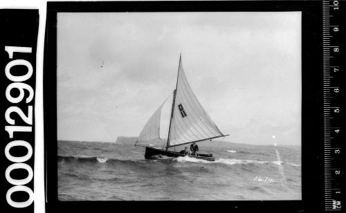 Cadet dinghy, D11, sailing on Sydney Harbour