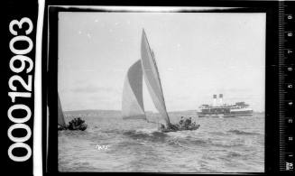 18-foot skiffs sailing near North Head, Sydney Harbour, with a Sydney ferry visible nearby