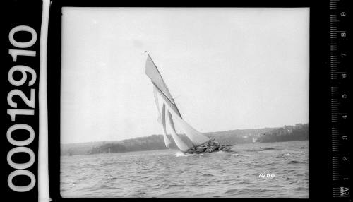 Single masted yacht under sail on Sydney Harbour with a small lighthouse visible to the left