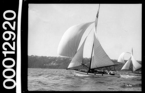 White-hulled yacht under sail on Sydney Harbour