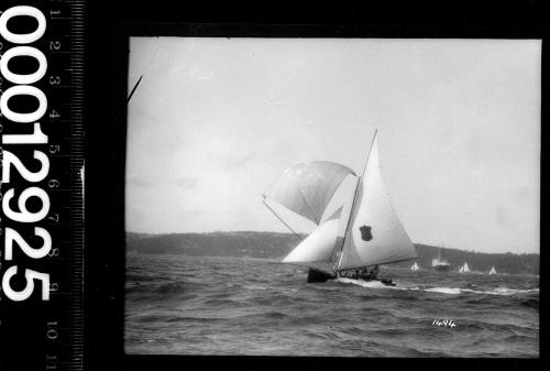 Yacht with a shield emblem on the mainsail, Sydney Harbour