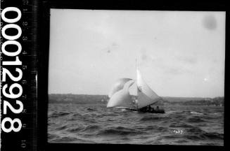 Yacht with a checkerboard patterned emblem on the mainsail, Sydney Harbour