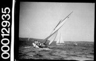 Amateur class yacht, A33, sailing on Sydney harbour