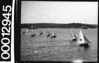 Skiffs racing on Sydney Harbour