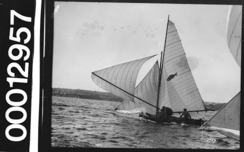 Port view of a yacht with a fish emblem on the mainsail, Sydney Harbour