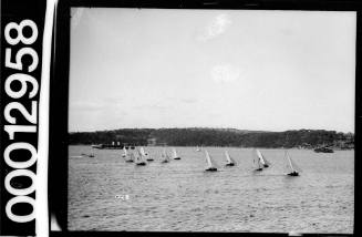 Yachts racing on Sydney Harbour with two ferries nearby