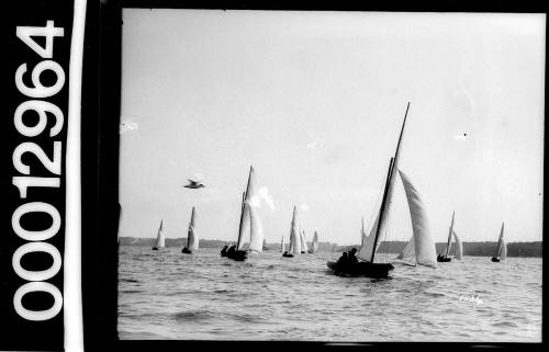 Yachts under sail on Sydney Harbour