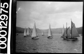 Vessels under sail near shoreline, Sydney Harbour