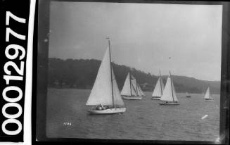 A variety of yachts sailing near shoreline, Sydney Harbour