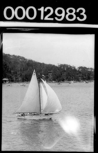 Amateur class yacht, A3, sailing on Sydney harbour