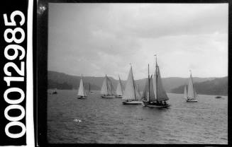 Yachts under sail on Sydney Harbour