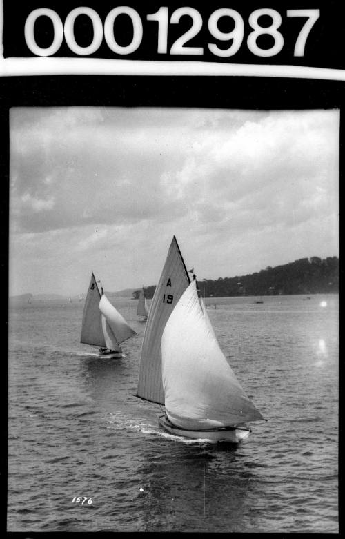 Amateur class yachts sailing on Sydney Harbour