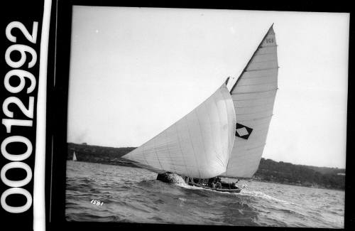 Yacht with an emblem of a white diamond on a dark square on the mainsail, Sydney Harbour