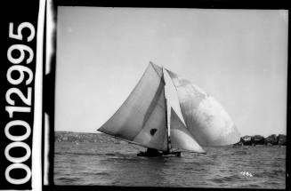 Sailing vessel with a half circle emblem on the mainsail, Sydney Harbour