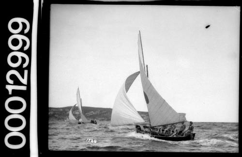 Skiffs sailing near The Heads, Sydney Harbour